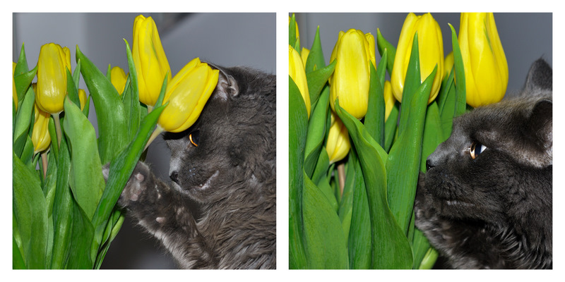 Valentinstag