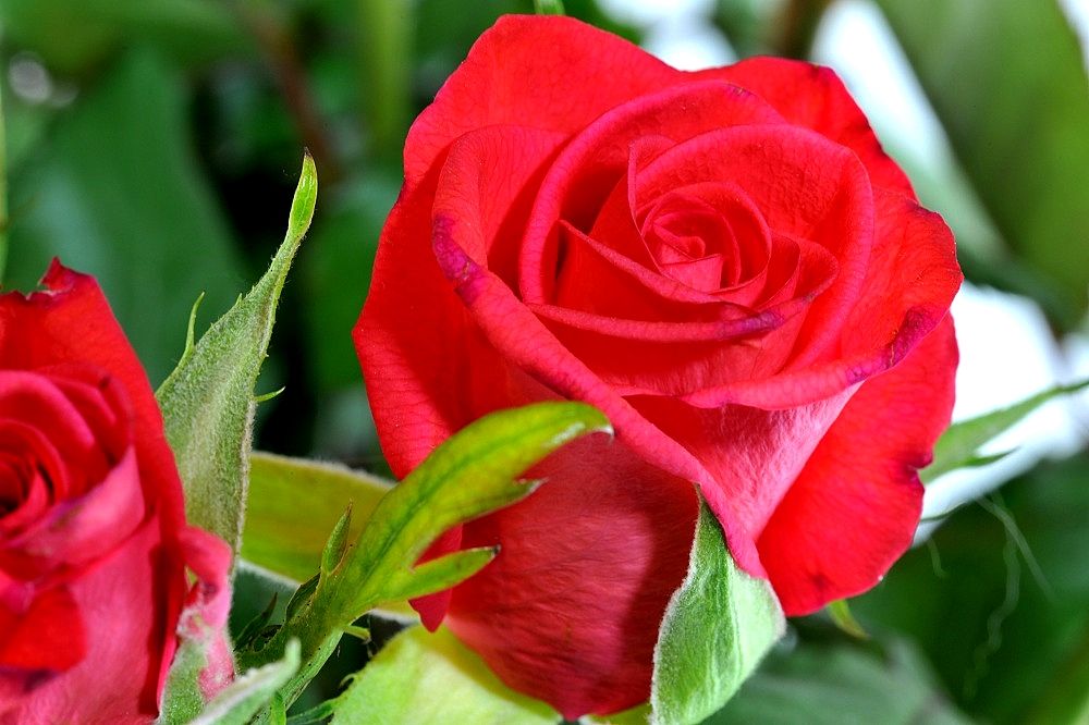 Valentinstag