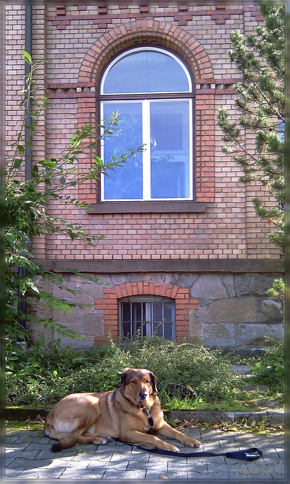 Vali Haus