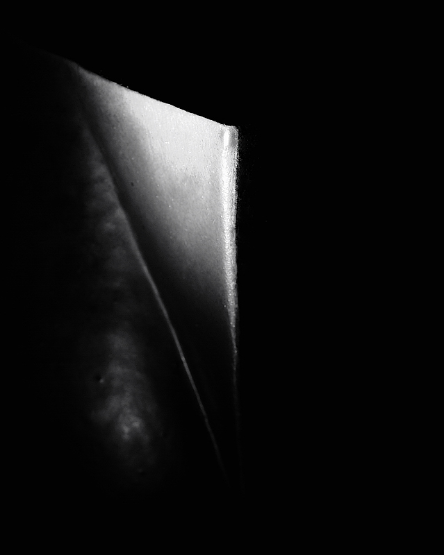 Vase minimal14