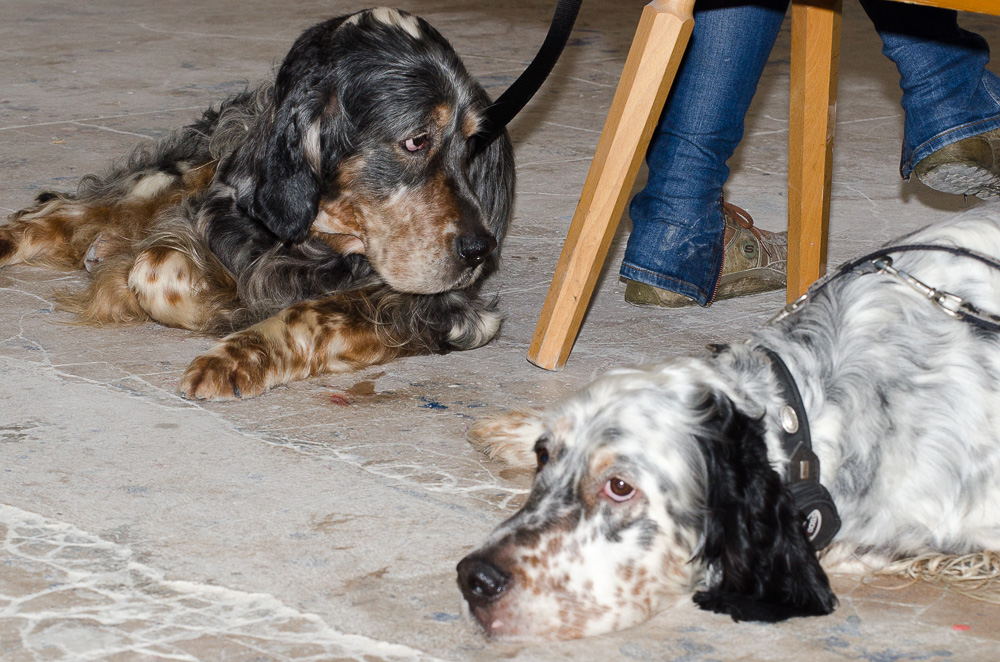 Vater &amp; Sohn 1