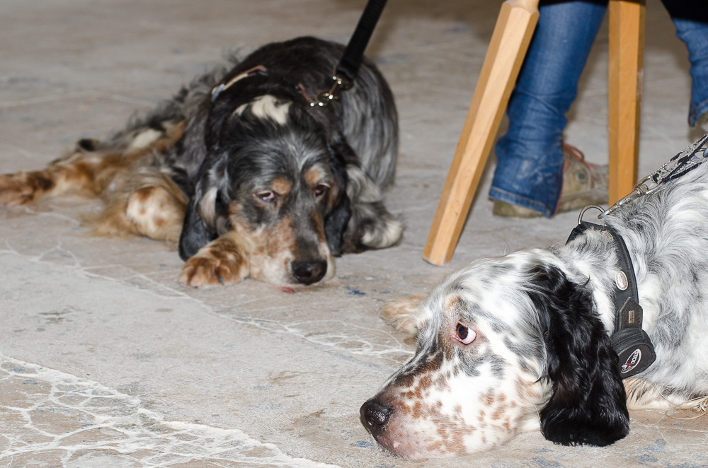 Vater &amp; Sohn 3