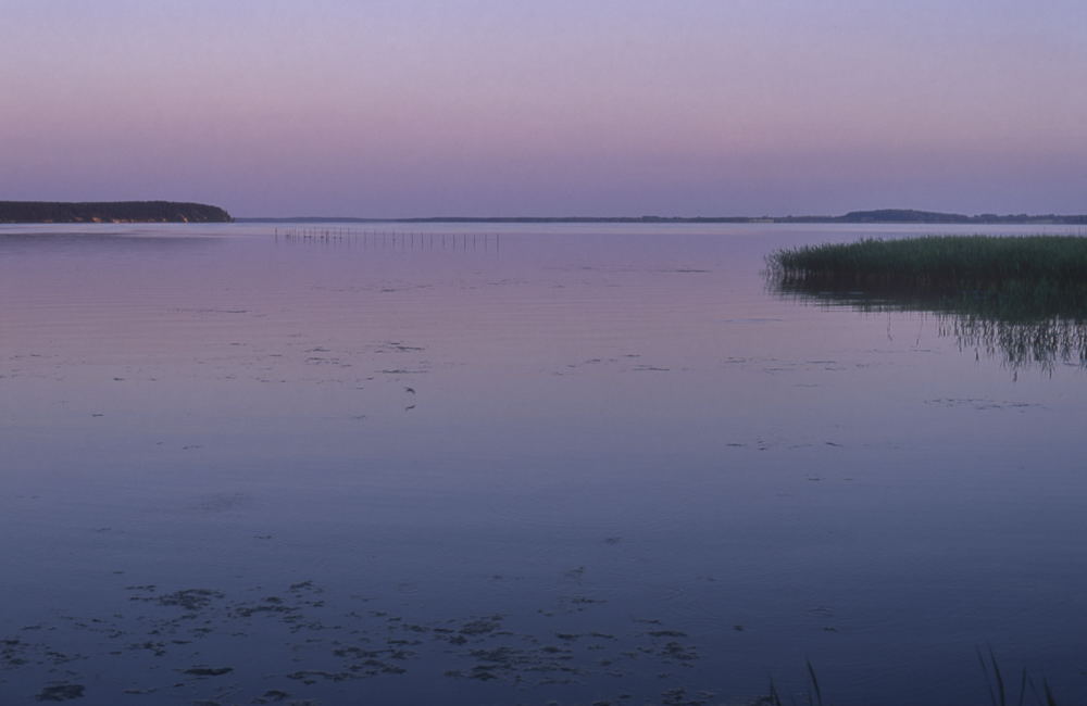 Velvia IMG 0015a f: Usedom Achterwasser 2011; Velvia 50