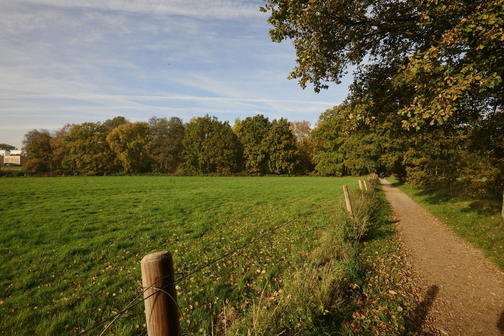 Verbindungswald