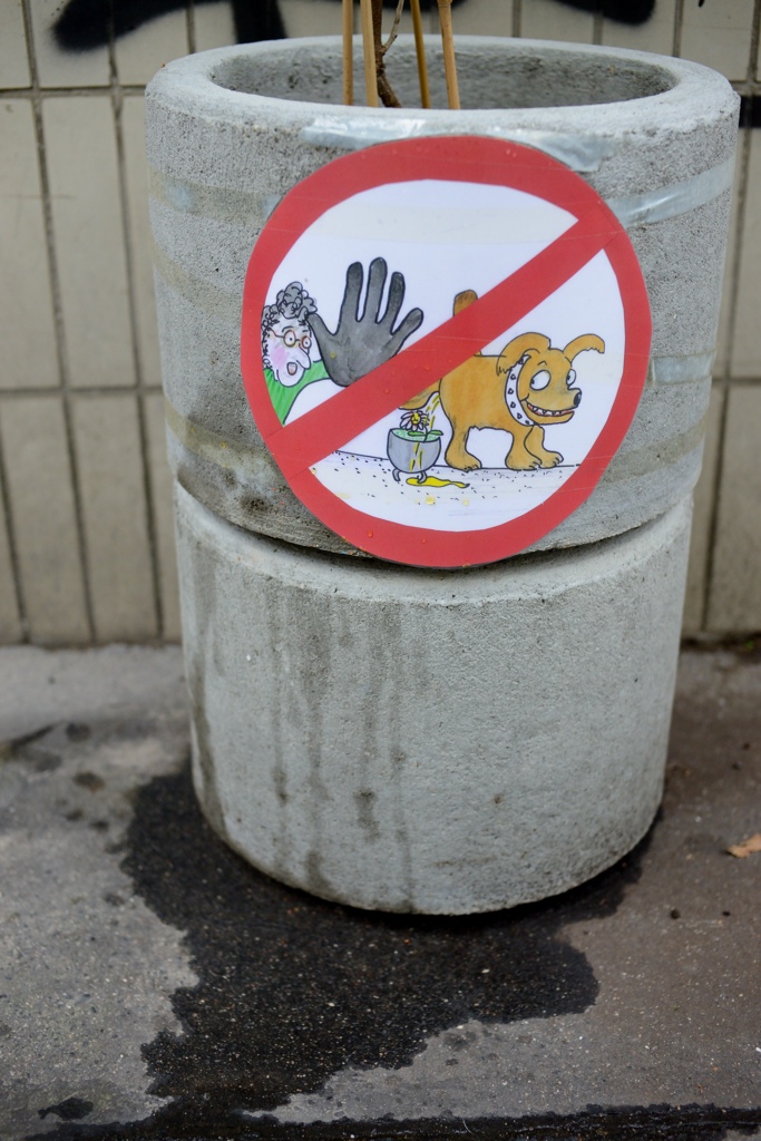 Verdammte Hunde