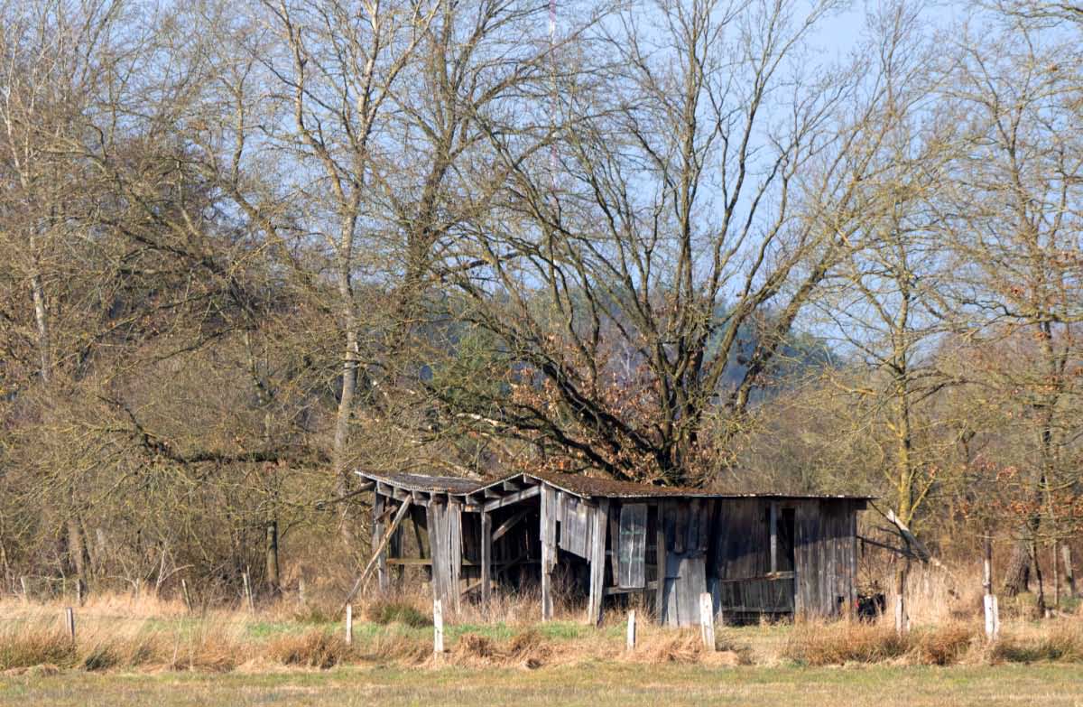 Verfallener Feldstall.jpg