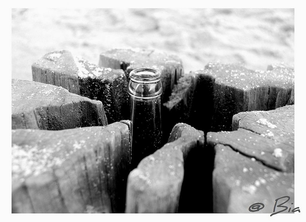 Vergessene Botschaft...
besondere Aufnahme, entstanden im Dezember 2011 während eines Strandspaziergangs an der Ostseeküste der Halbinsel Darß-Fischla