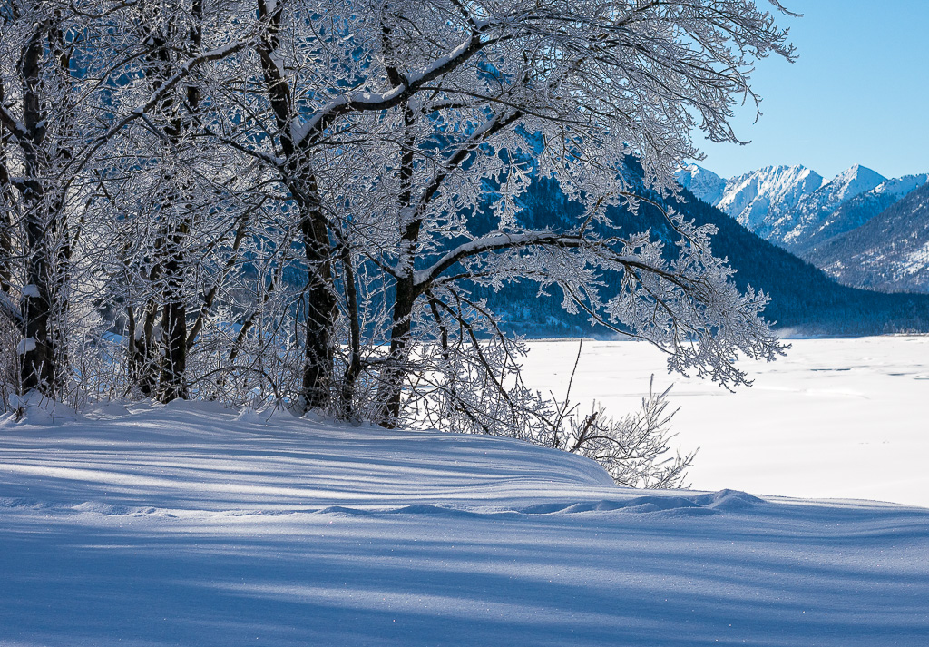 verschneiter Sylvensteinsee