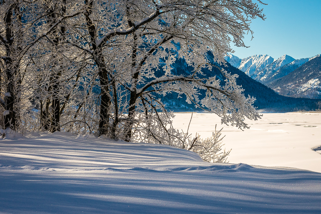 verschneiter Sylvensteinsee