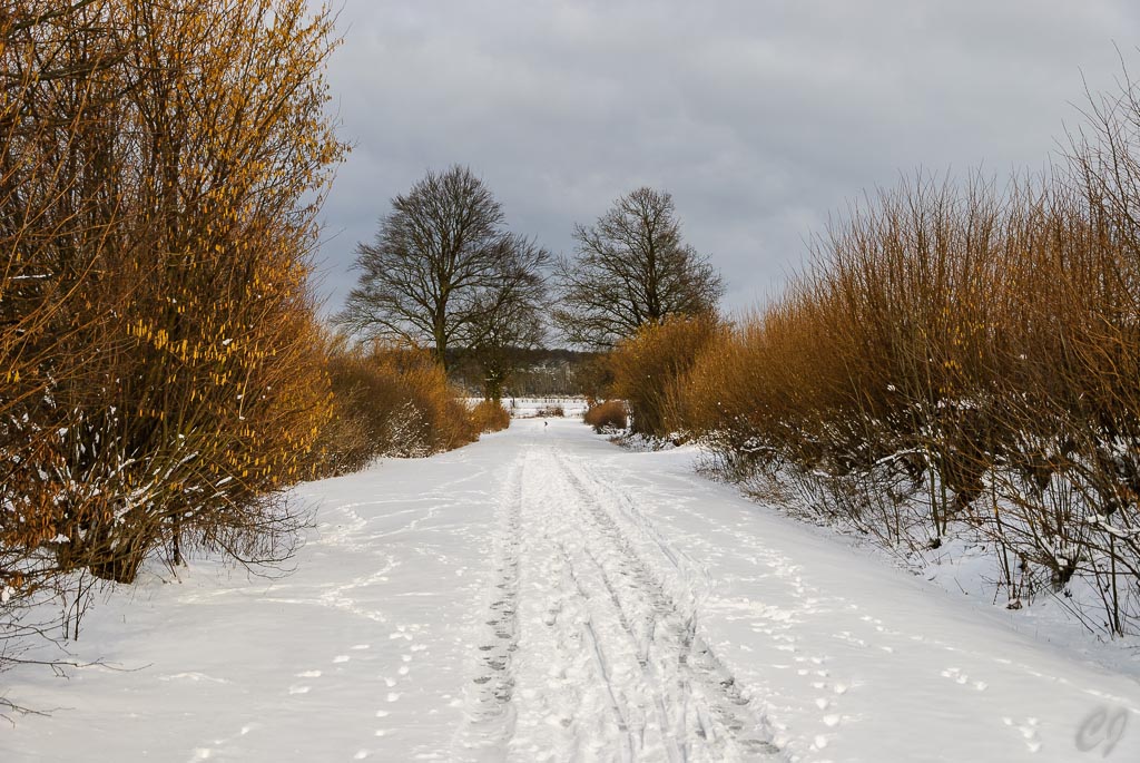 Verschneiter Weg