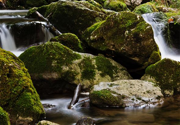 Verspieltes Wasser