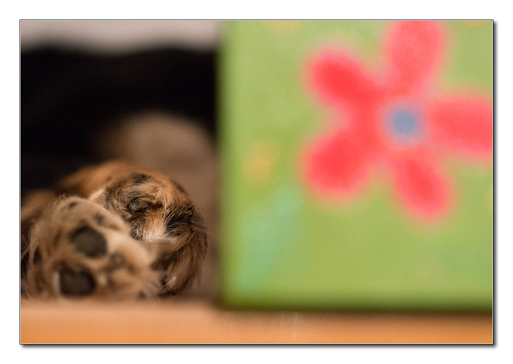 versteck