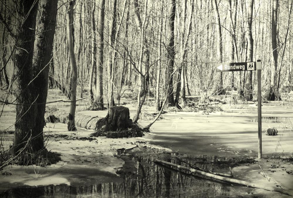 versunkene Welt im Bosauer Wader
Viel Regen und Frost haben den so schönen Weg nur schwer passierbar werden lassen. 
Frühjahr 2011