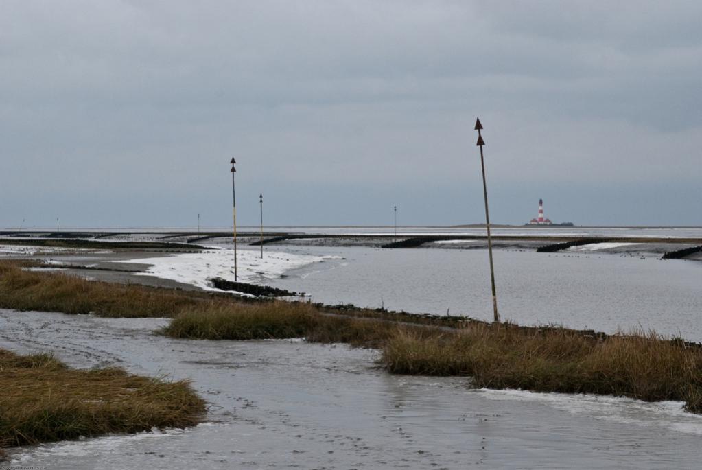 Vesterhever 01 11