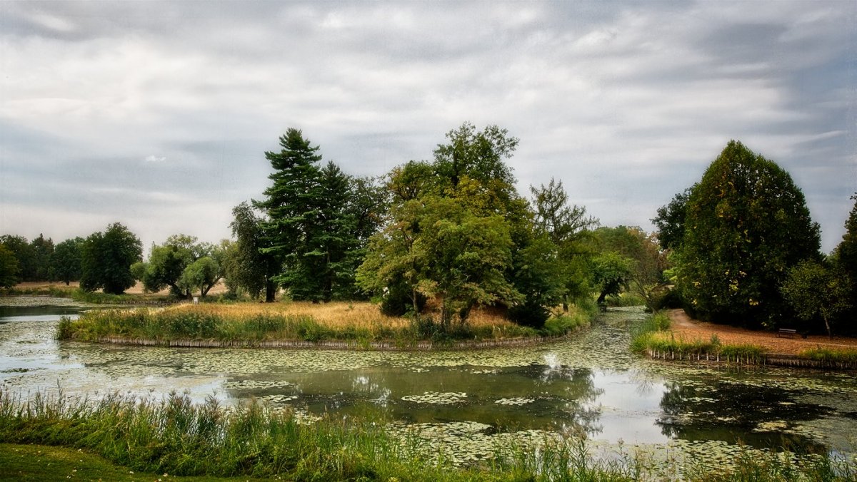 VG_500_9960_on1_nc_landscape.jpg
