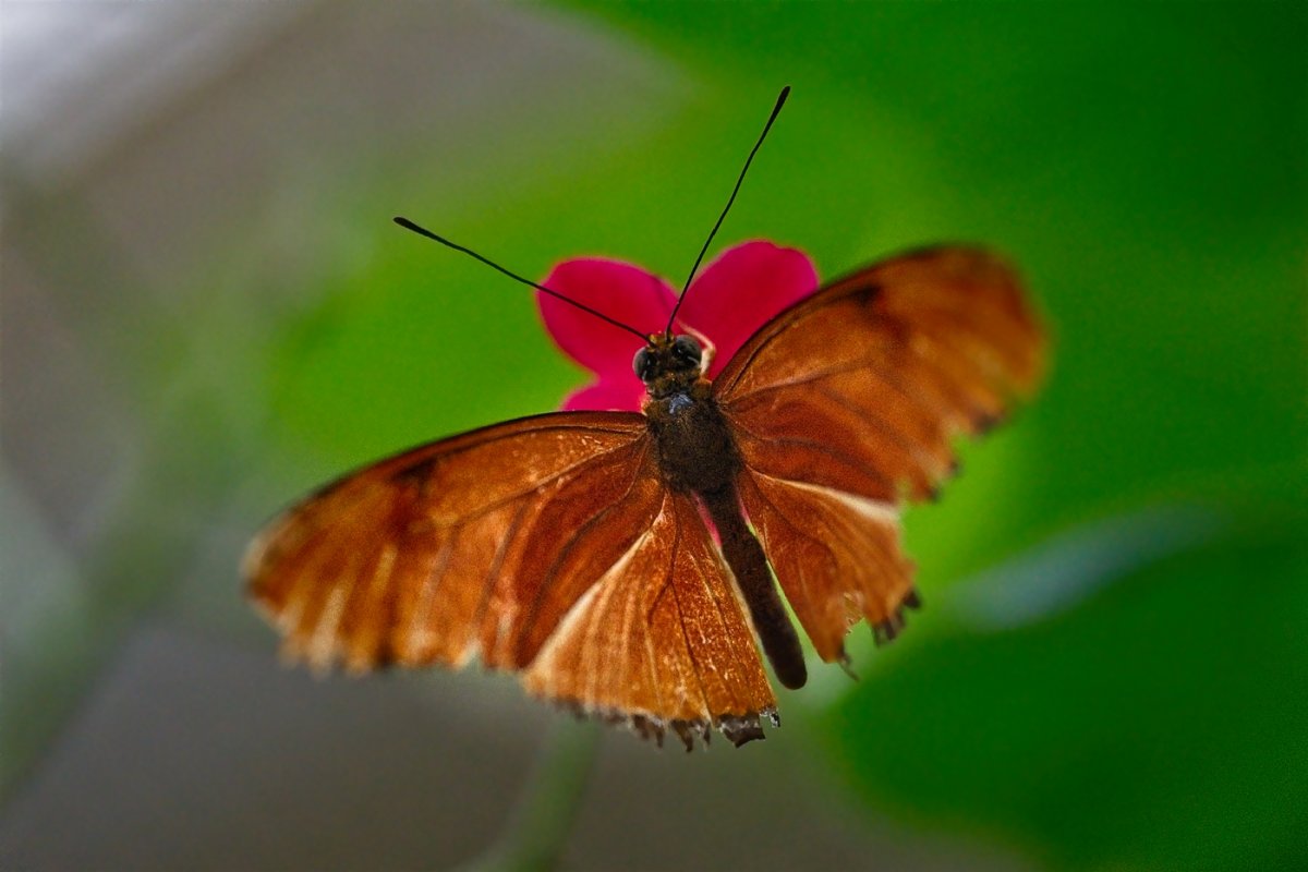 VG_850_1353_on1_1400.jpg