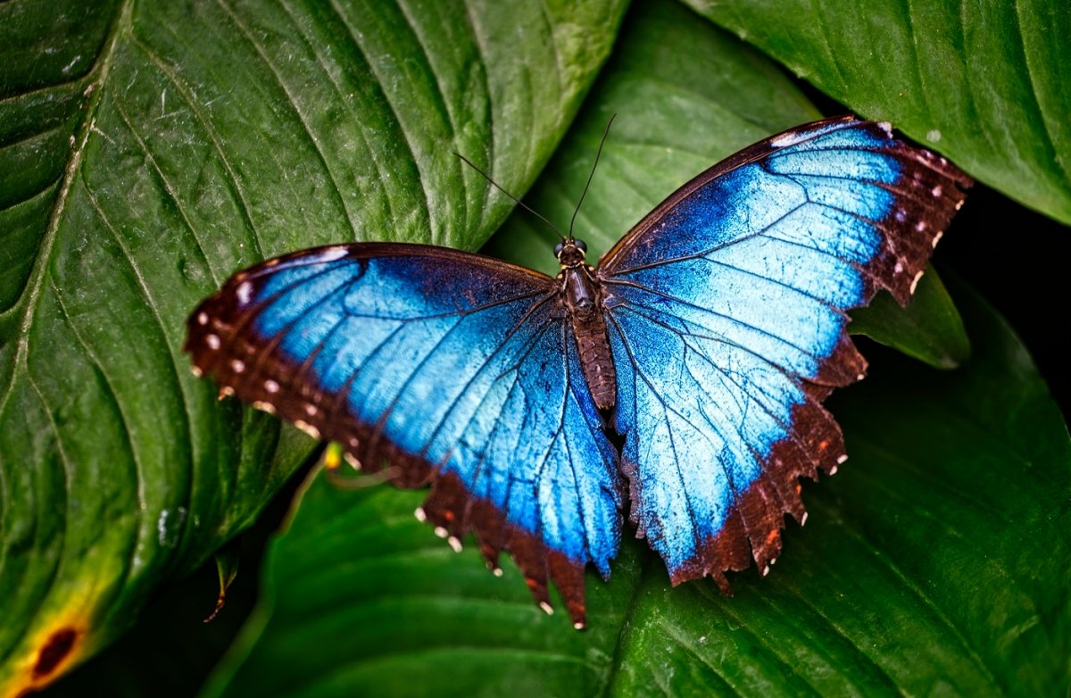 VG_850_1393_on1_1400.jpg
