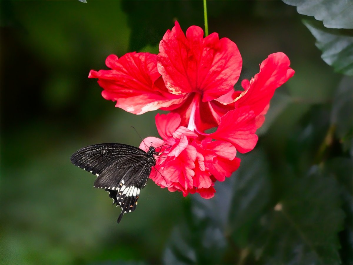 VG_850_1513_on1_1400.jpg