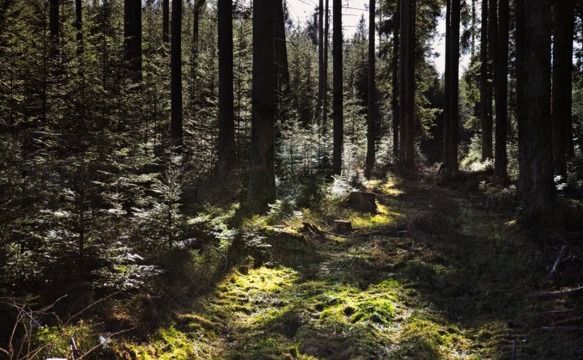 VG_850_8700on1_landscape.jpg