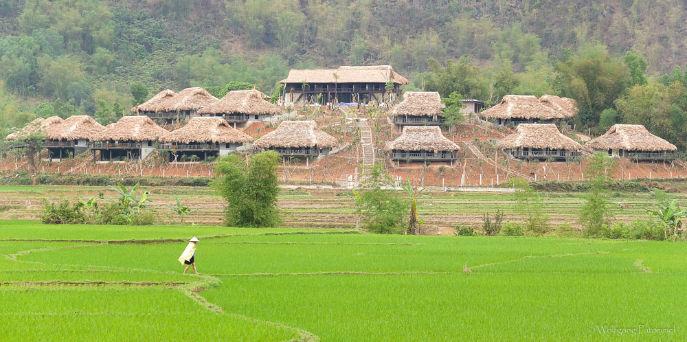 Vietnam 2014 1