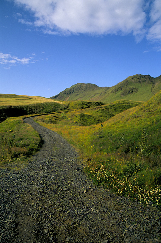 vik 01