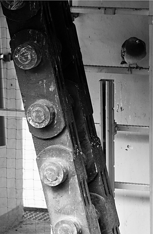 Vila Hügel 2799
