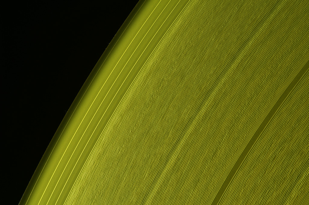 Vinyl in gelb