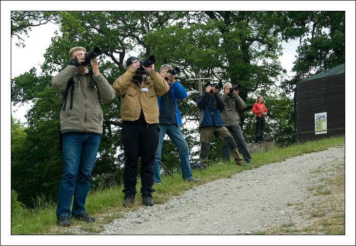 ViolaBrandt 20090605 0090