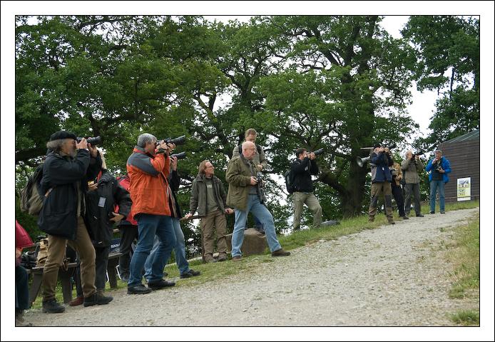 ViolaBrandt 20090605 0105