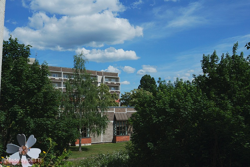 Vivitar