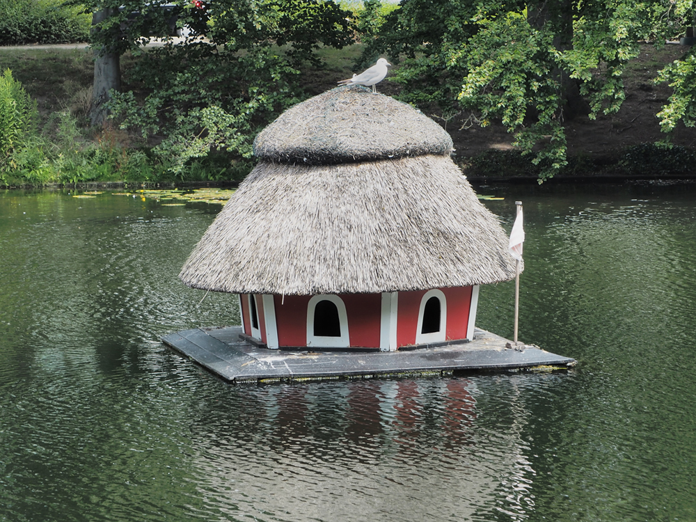 Vogel-Treib-Haus.jpg
