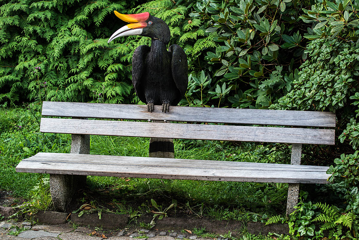 Vogelbank 2