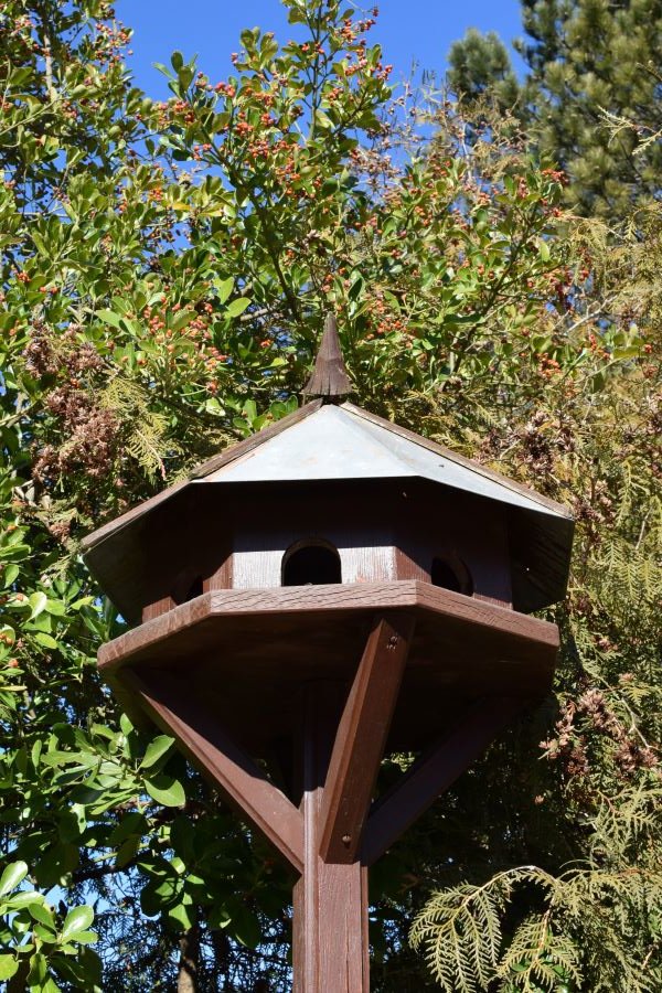 Vogelhaus klein.JPG