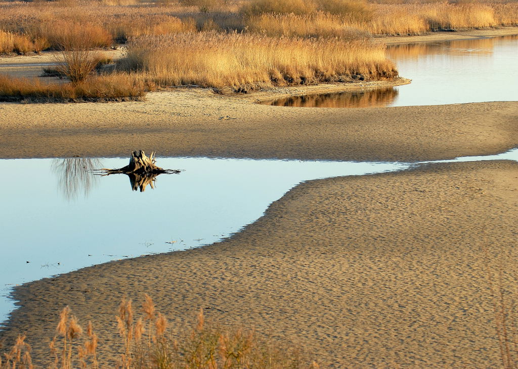 Vogelinsel