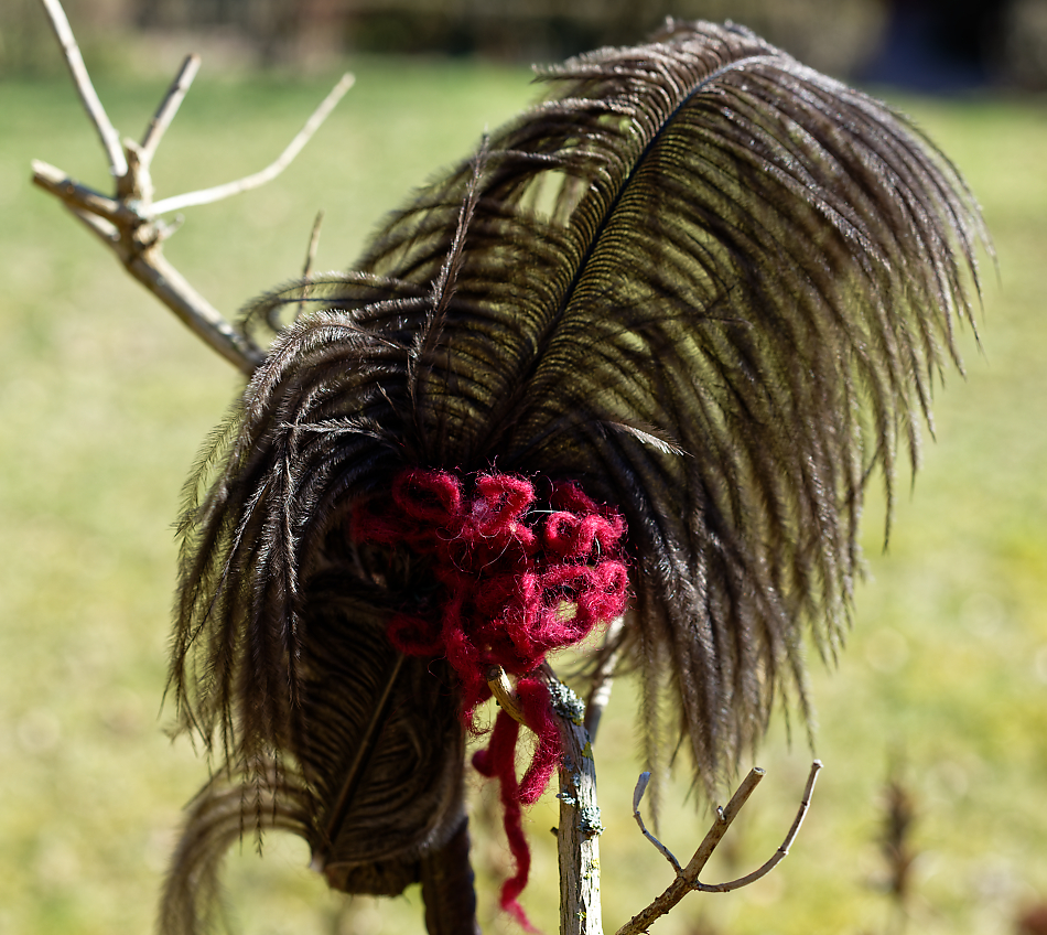 Vogelnestauspolsterungsvorratsangebot im Garten.jpg