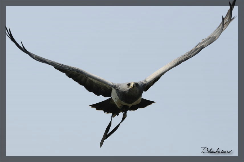 Vogelpark 05