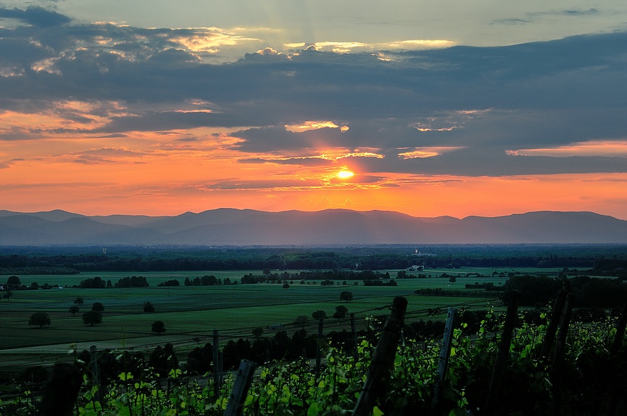 Vogesen hinter dem Winklerberg mit Rheintal