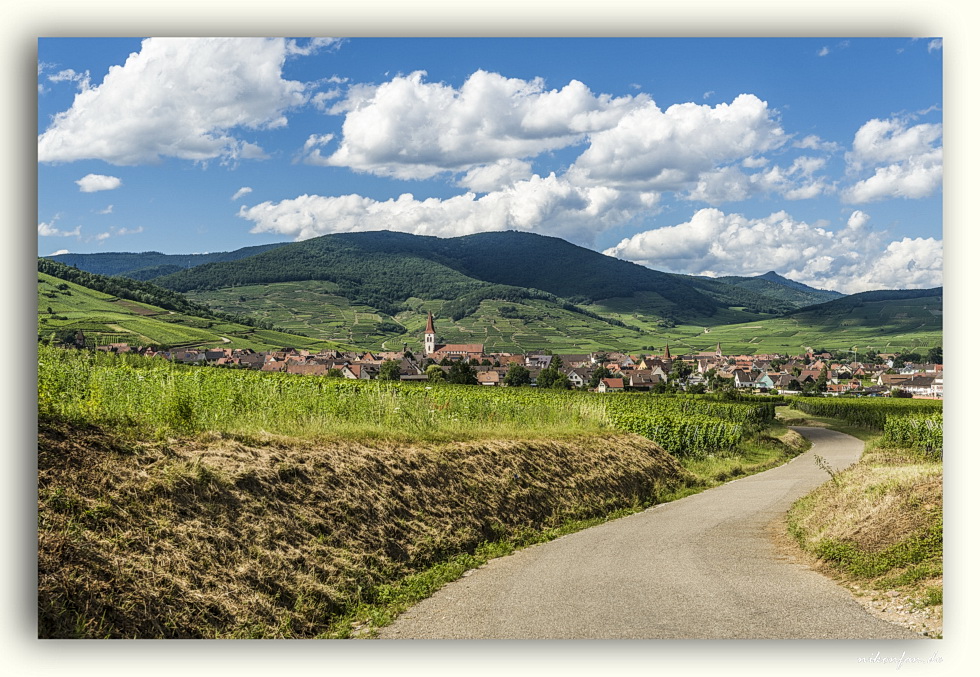 Vogesenblick