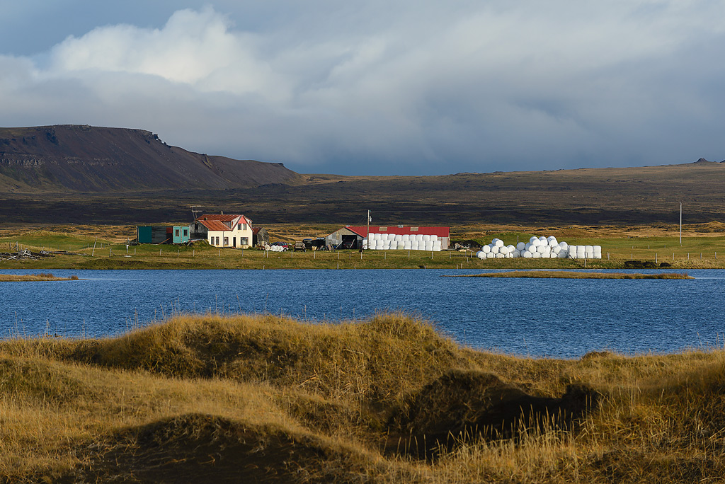 Vogsósar Farm Island 2015