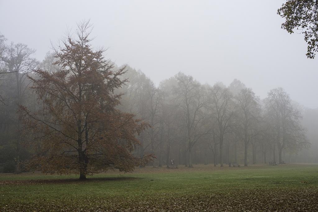 Volkspark 2  DSC3560