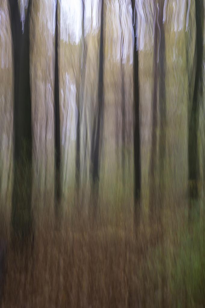 Volkspark 3 DSC3566
