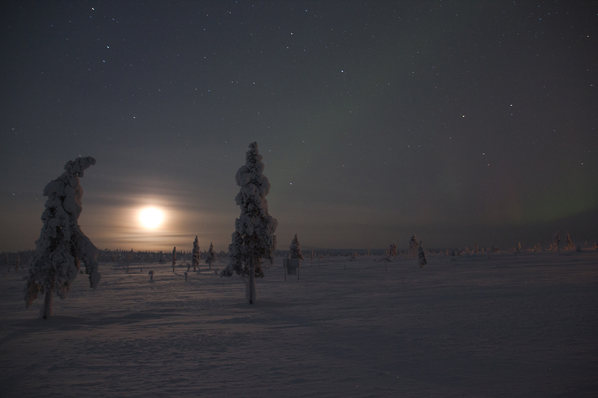 Vollmond.jpg
