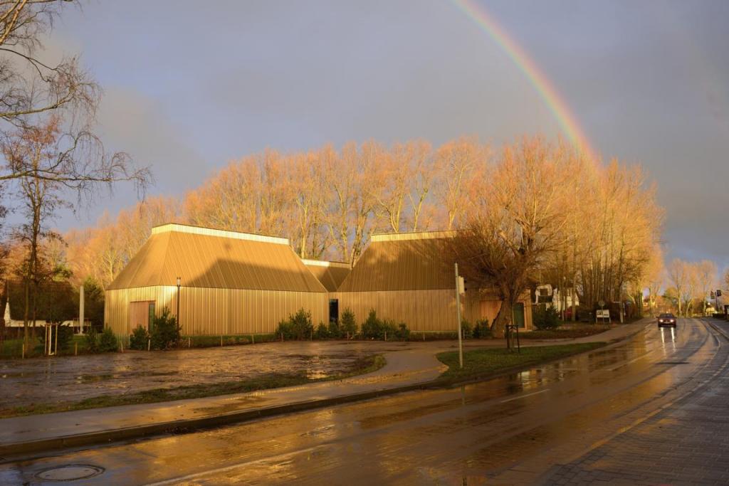 von der Sonne vergoldet: Kunstmuseum in Ahrenshoop