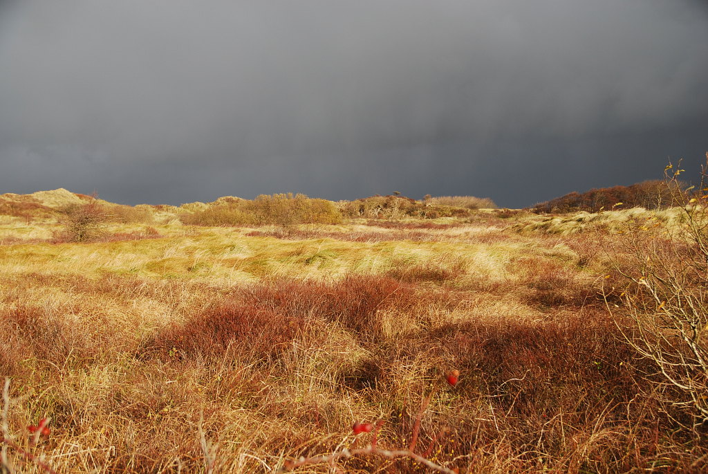 Vor dem Unwetter