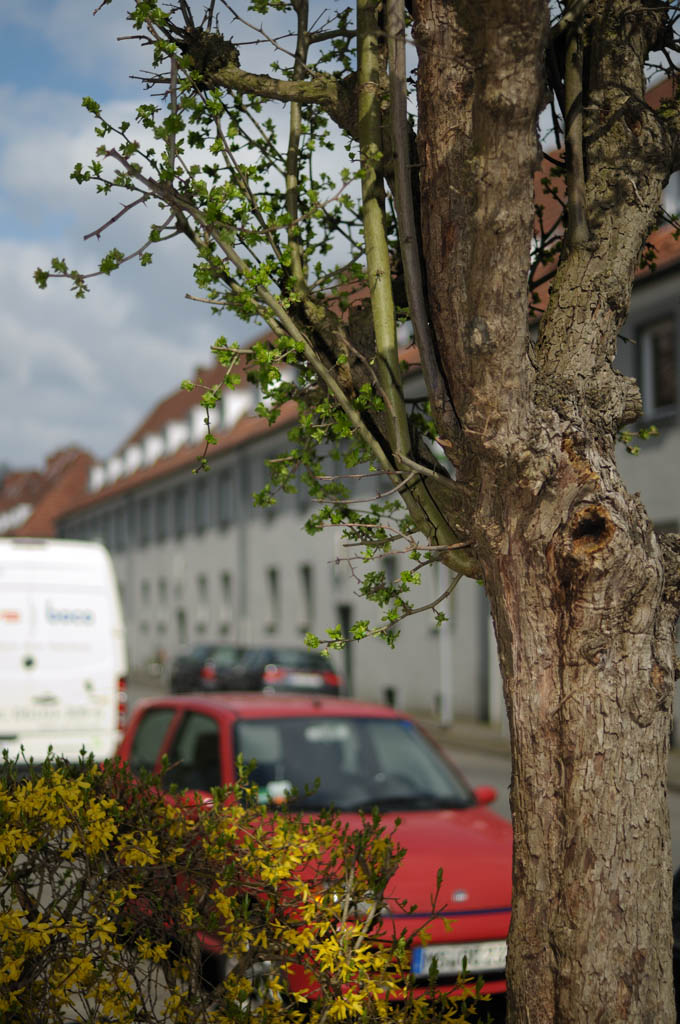 Vor der Tür