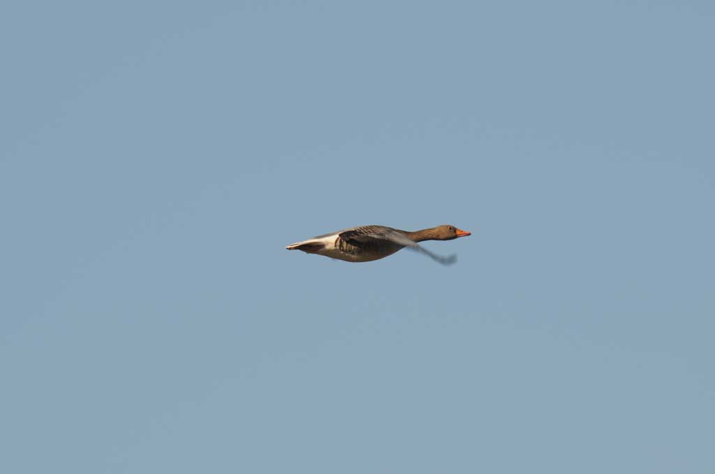 Vorbeiflug