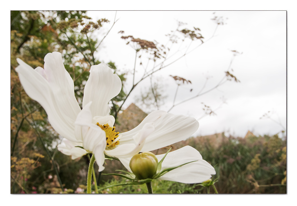 Vorgartenschmuck