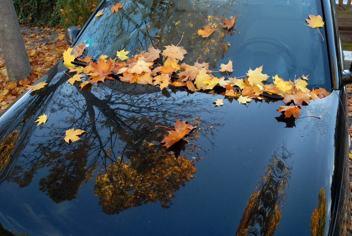 vw herbst  kl