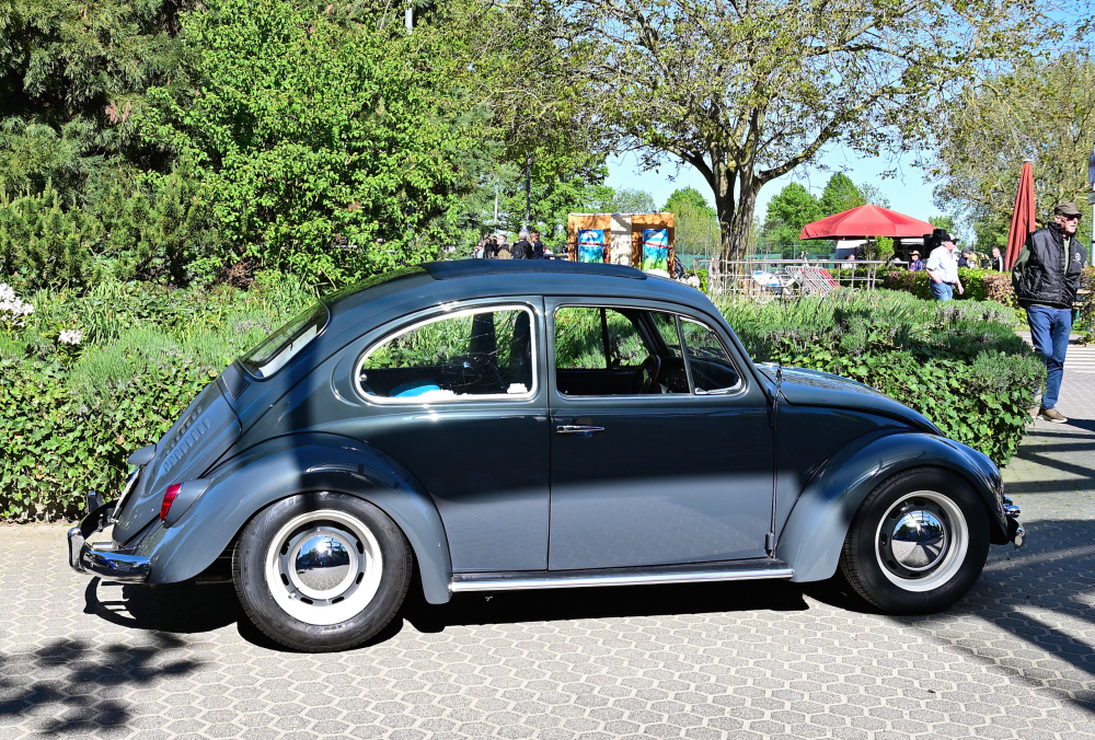 VW Käfer