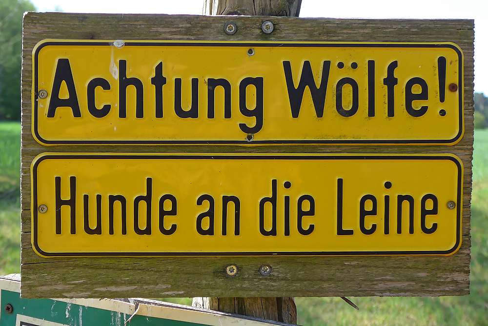 Wölfe.jpg